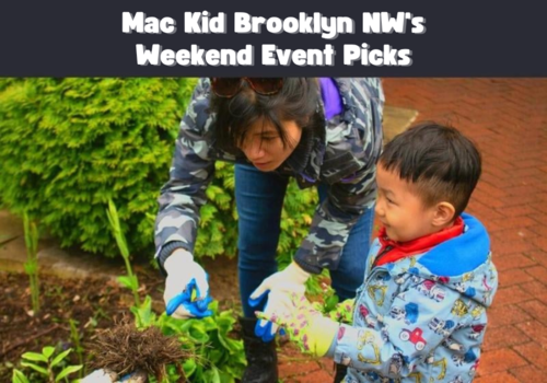 Mac Kid Brooklyn NW's Weekend Event Picks – Earth Day at Governor's Island