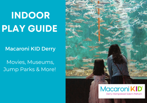 Greater Derry Indoor Play Guide