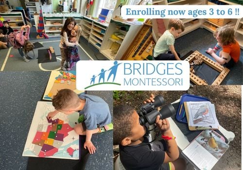 Bridges Montessori - Article