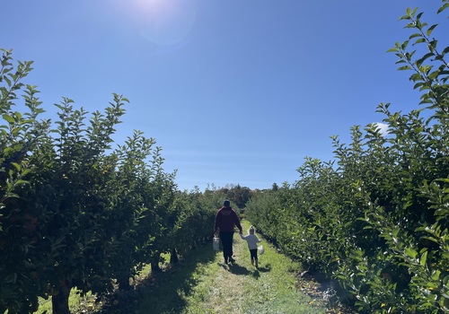 Lookout Farm Apple Picking