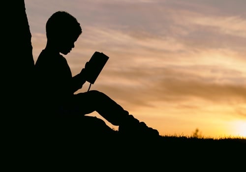 Boy reading book outside