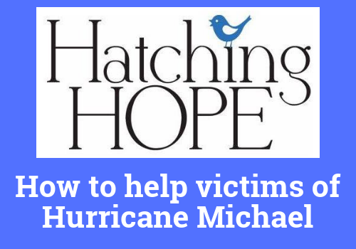 Ways to help victims of hurricane Michael, Florida panhandle, Panama City, donations, disaster relief