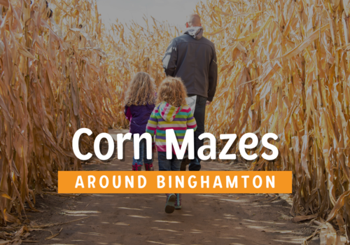 Corn Mazes in Greater Binghamton