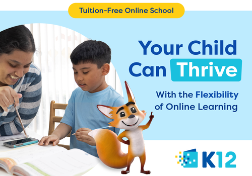 Your child can thrive with the flexibility of online learning. Tuition-Free online school