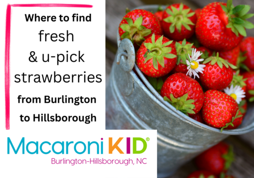 Where to find fresh & u-pick strawberries