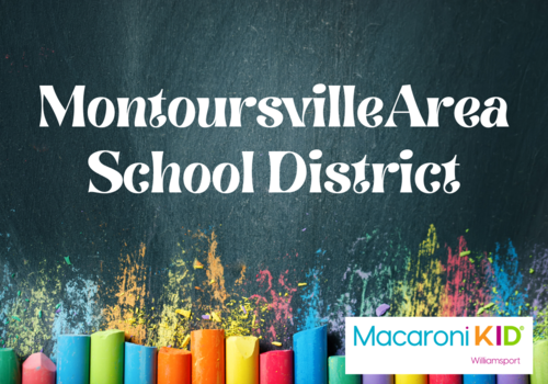 Montoursville Area School District, District Information