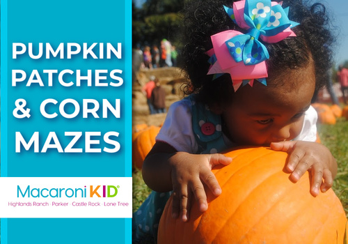 Toddler in a pumpkin patch trying to eat a pumpkin with text that says pumpkin patches and corn mazes