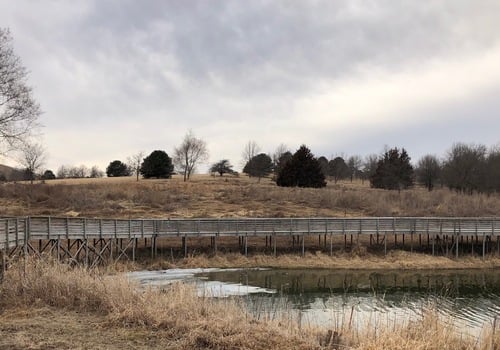 winter landscape at park