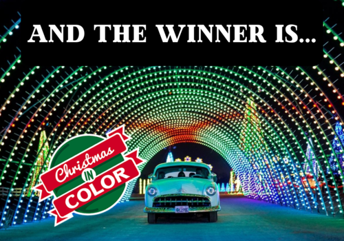 and the winner is christmas in color