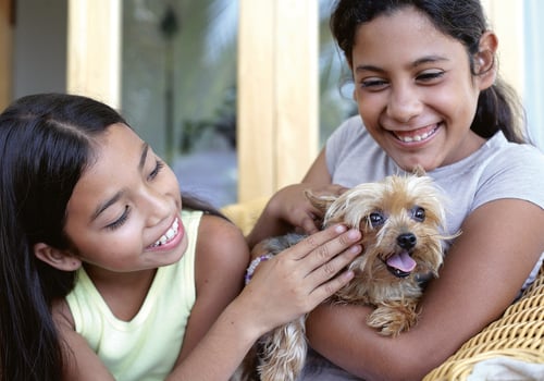 5 Tips to Successfully Bring a New Pet into Your Home