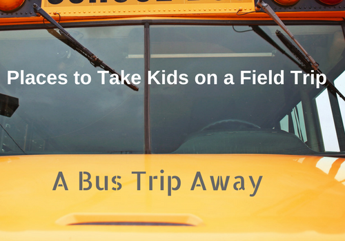 Field Trips for Schools and Groups in Roseville Rocklin Lincoln CA
