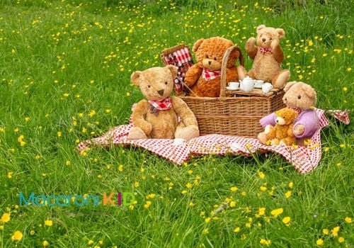5 teddy bears at a picnic
