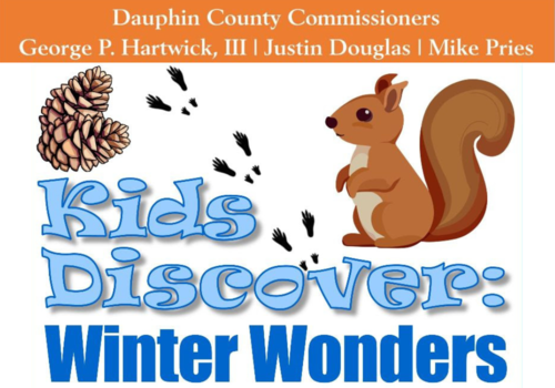 kids discover winter wonders