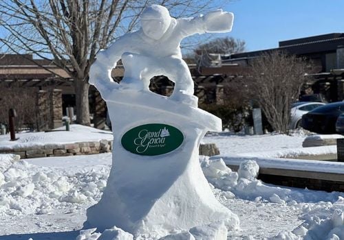 ice sculpture of snowbaorder