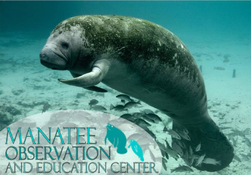 Manatee Observation and Education Center