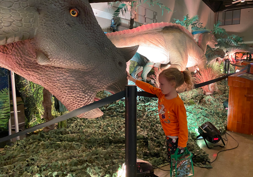 Dinosaur Adventures, Winston-Salem Fairgrounds, Contest, Free Tickets, Family fun