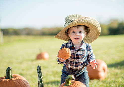 boy with pumpkins