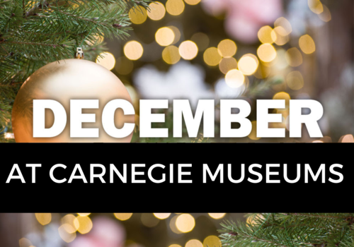 December at Carnegie Museums 