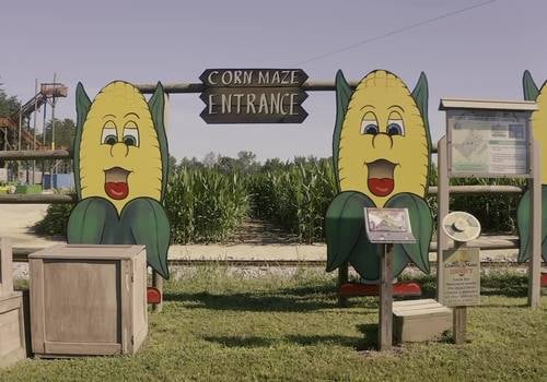 Kersey Valley Maize Adventure