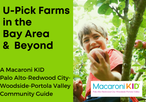 U-Pick Farms in the Bay Area and Beyond