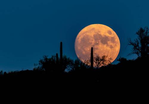 harvest moon lunar eclipse