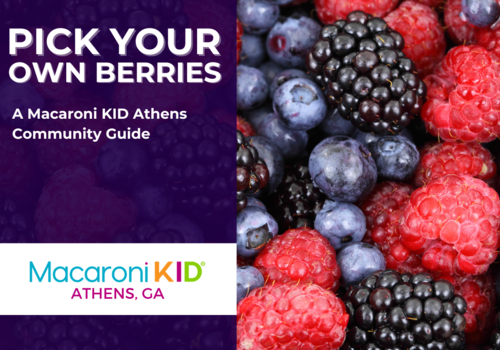 Mixture of fresh berries