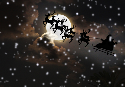 Sleigh with Reindeers
