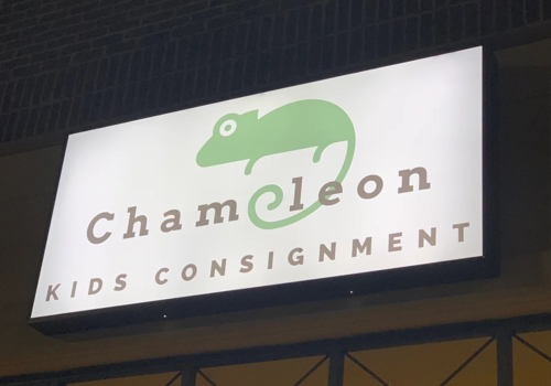 Chameleon Kids Consignment, Mom Life, Shop Local, Thrifty Shopping
