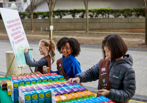 girl scouts cookies sale