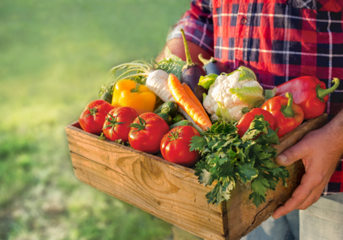farmer holding crate of vegetables