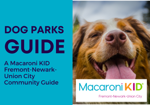 Dog Parks in Fremont, Newark, and Union City
