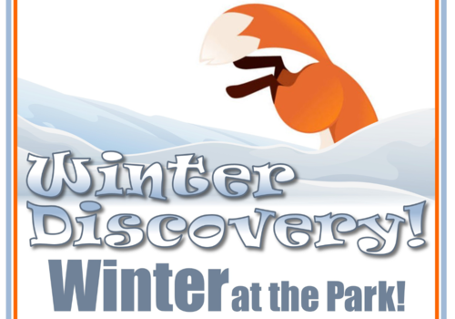 Winter Discovery at Wildwood Park