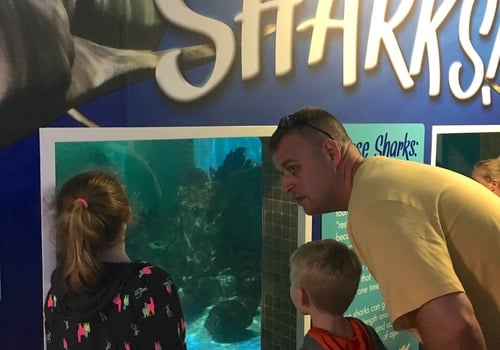 Clearwater Aquarium, shark, tank, kids, dad