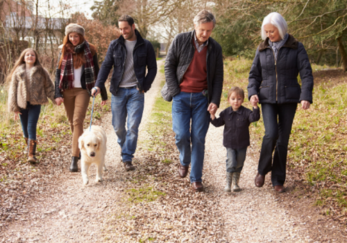 9 Reasons to Take a Family Walk After Thanksgiving Dinner