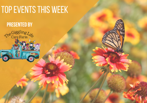 Top Events this Week Presented by The Giggling LIfe Care Farm