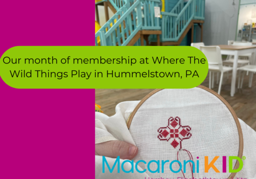 A mom cross stitches while relaxing in an armchair as her kids play at Where The Wild Things Play in Hummelstown, PA