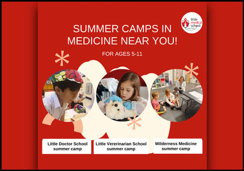 Little Medical School Treasure Coast 2023 Summer Camp Flyer