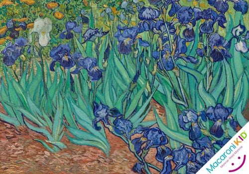 The Irises by Vincent Van Gogh