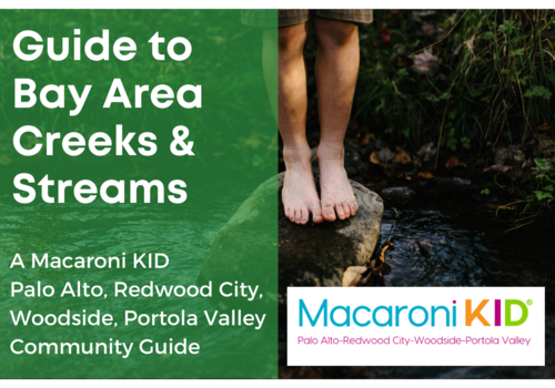 7 Creeks and Streams in the Bay Area for Kids to Splash In!
