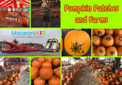 Pumpkin Patches and Farms, Macaroni KID Conejo Valley - Malibu - Calabasas
