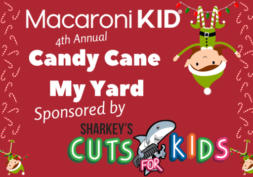 Candy Cane My Yard Hampton Roads Chesapeake VA