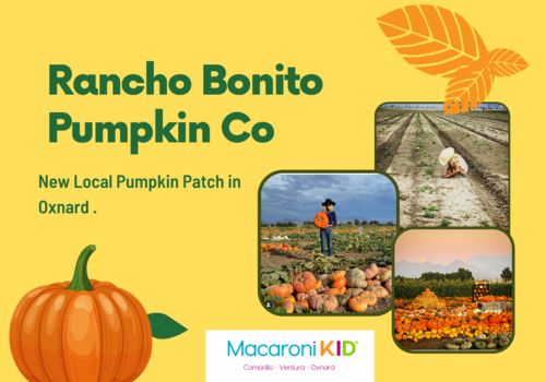 Rancho Bonito Pumkpkin Co