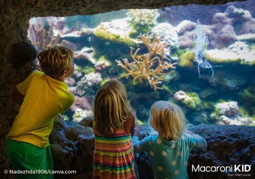 Kids looking at sea life at aquarium