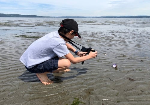 Explore the beach at Dash Point State Park in Federal Way