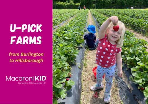 U-Pick Farms from Burlington to Hillsborough