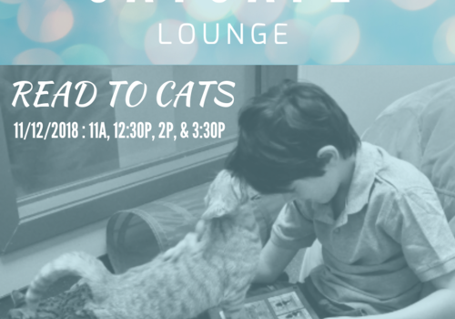 Cat Cafe Lounge  Read to Cats