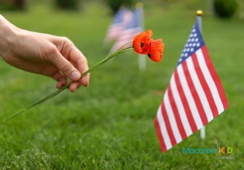 American Flag and Poppies for Memorial Day