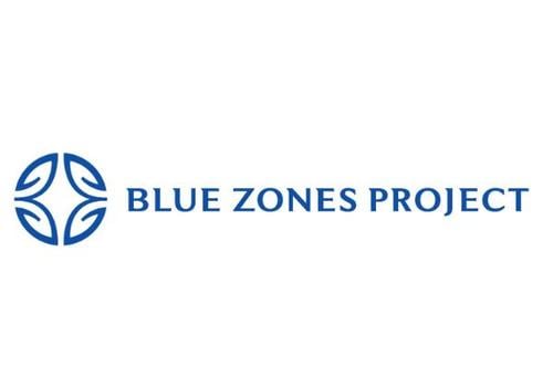 BZP logo website-color unstacked-AH 