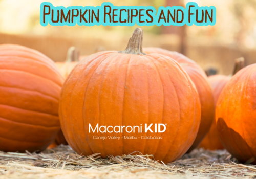 Pumpkin Recipes and Fun photo of pumpkins
