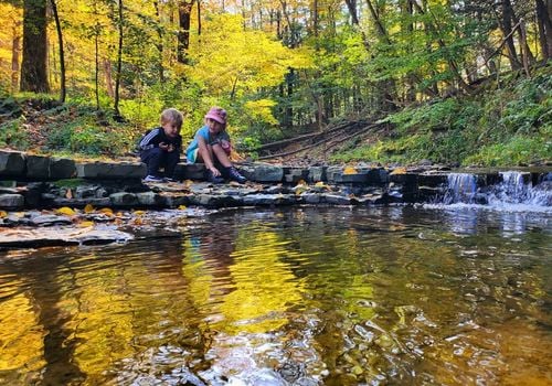 Stair Park Fuller Hollow Creek Vestal NY